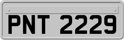 PNT2229