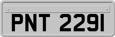 PNT2291