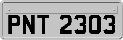 PNT2303