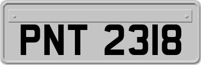 PNT2318