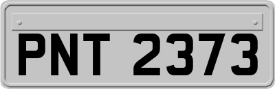 PNT2373