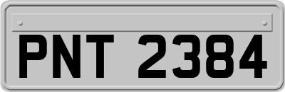 PNT2384