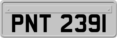 PNT2391