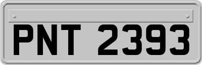 PNT2393