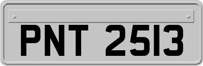 PNT2513