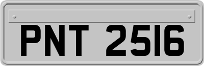 PNT2516