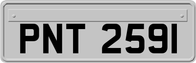 PNT2591