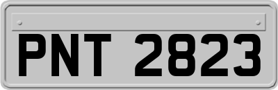 PNT2823