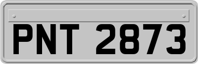 PNT2873