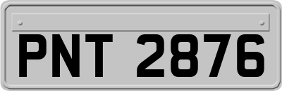 PNT2876