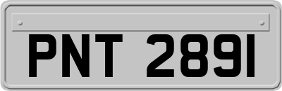 PNT2891