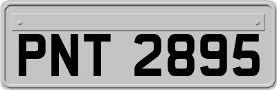 PNT2895