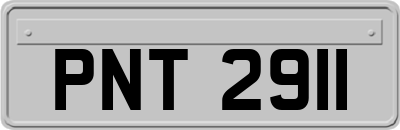 PNT2911