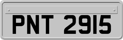 PNT2915