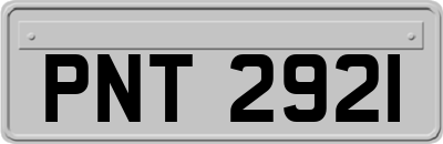 PNT2921
