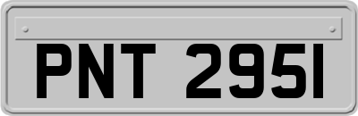 PNT2951