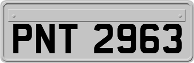 PNT2963
