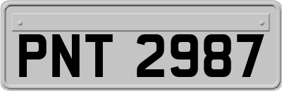 PNT2987