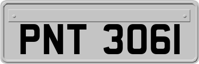 PNT3061
