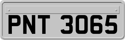 PNT3065