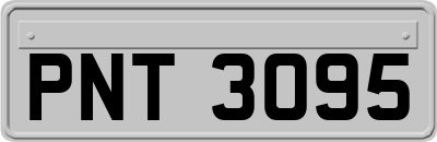 PNT3095