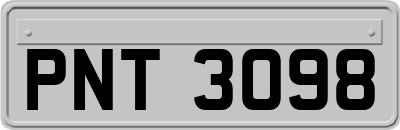 PNT3098