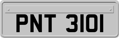 PNT3101