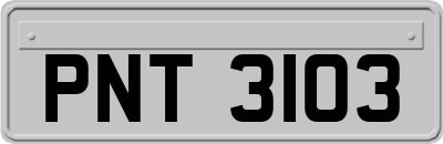 PNT3103