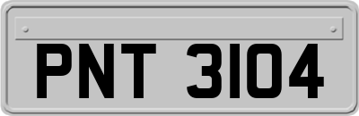 PNT3104