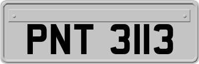 PNT3113