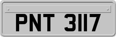 PNT3117