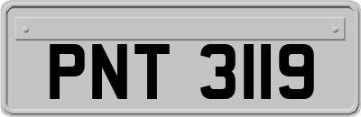 PNT3119