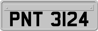 PNT3124