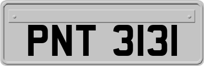 PNT3131