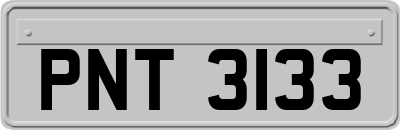 PNT3133