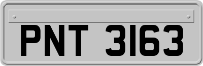 PNT3163