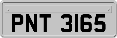 PNT3165