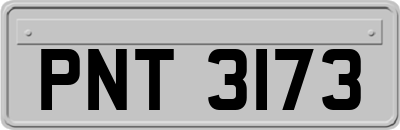 PNT3173