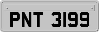 PNT3199