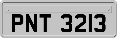 PNT3213
