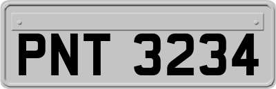 PNT3234