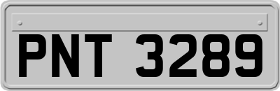 PNT3289
