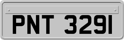 PNT3291