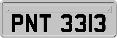 PNT3313