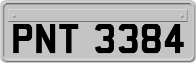 PNT3384