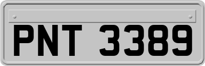 PNT3389