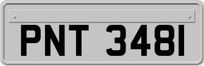 PNT3481