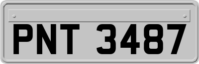 PNT3487