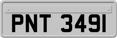 PNT3491