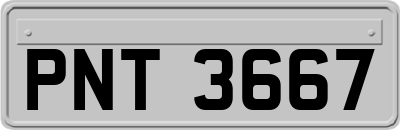 PNT3667